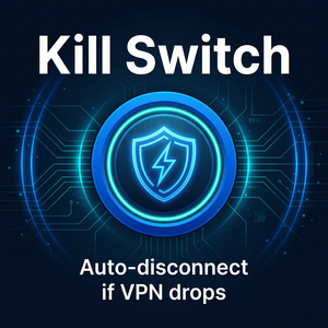 Quick VPN的浏览器扩展功能介绍 - Quick VPN官网